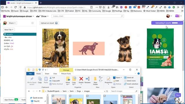 Upload a Project with Images to Glitch смотреть онлайн