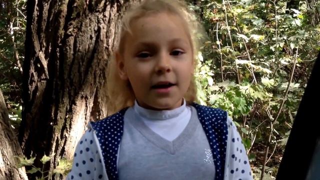 Иван Бунин. Лес, точно терем расписной... смотреть онлайн