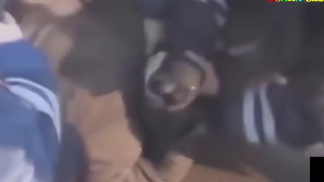 Приколы. Win & Fails. смотреть онлайн