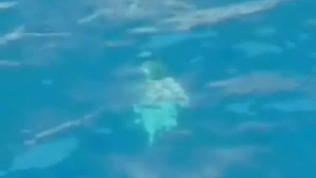 Пираты Алании смотреть онлайн