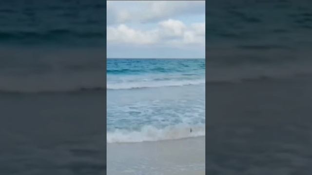 Nina Ivanova - Ne znam Нина Иванова - Не знам смотреть онлайн