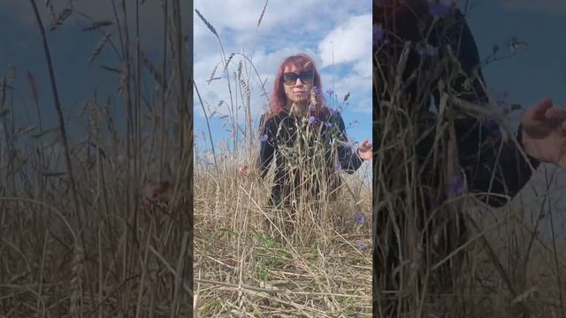 Не бегите за счастьем. К нему всегда идут навстречу! смотреть онлайн