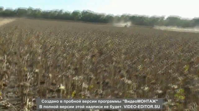 Соняшник_Сади України смотреть онлайн