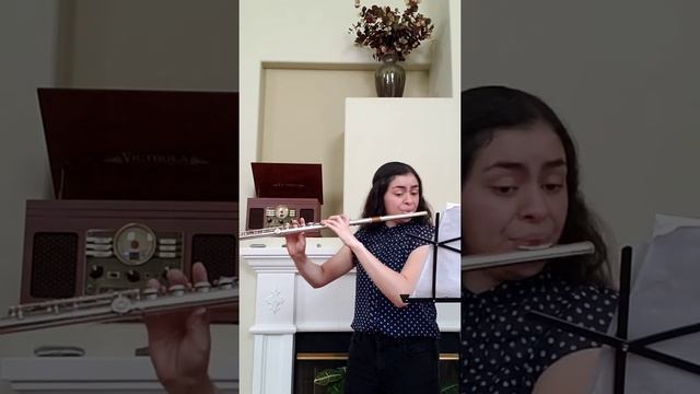 Orpheus Act II, Menuet and Dance of the Blessed Spirits - Christoph von Gluck смотреть онлайн