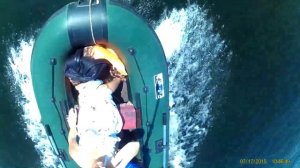 Hidea 5л с  и Пеликан 300ТК вдвоём