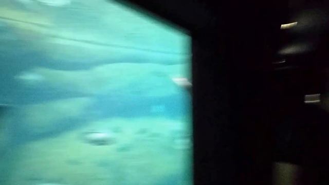 Sketch #13: Psarwma смотреть онлайн