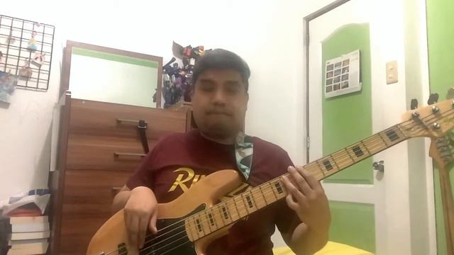 Like A Prayer - Madonna (Bass Cover) смотреть онлайн