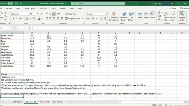 Cornerstone beehive data starter Excel 2021. смотреть онлайн