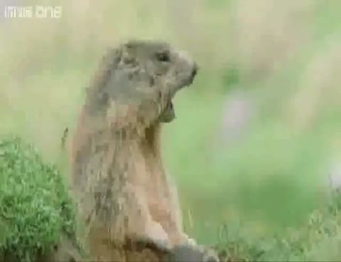 классно а я научился говорить смотреть онлайн