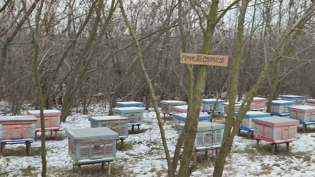 Beekeeping.Середина зимовки. смотреть онлайн