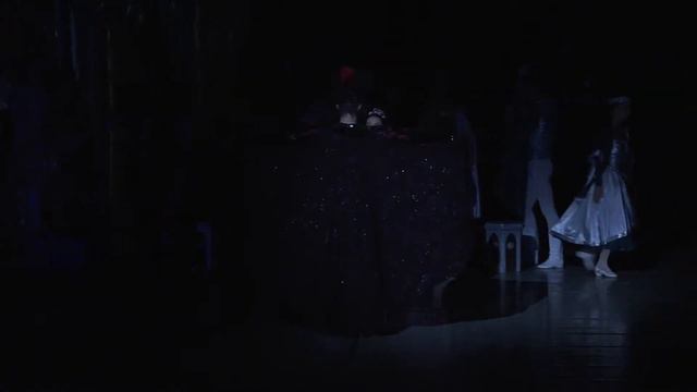 Swan Lake. Black Swan Adagio. Archive of Aleh Lukashevich смотреть онлайн