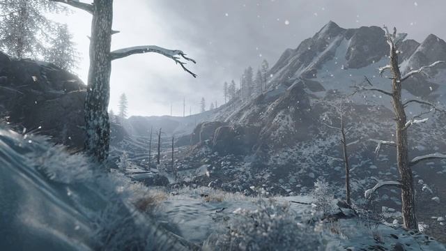 СТРИМЧИК С ПОДГОРАНИЕМ ЗАДНИЦЫ смотреть онлайн