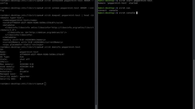 Linux VM XML Files, CPU and Memory Management, and Attaching/Detaching Storage Volumes смотреть онлайн