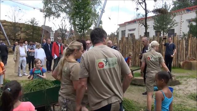 OPENING SAVANE ZOO ANTWERPEN смотреть онлайн
