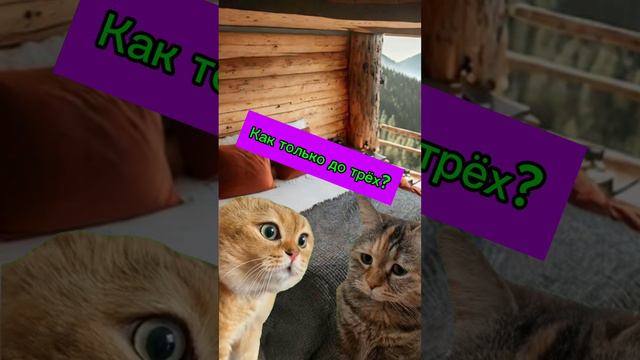 смешные котики 🐈 #funnyvideos2024 #cats #котики #шортсвидео #мем #catsvideo #котик #cat #кот #дуэт смотреть онлайн