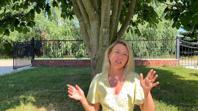 С чего начать смотреть онлайн