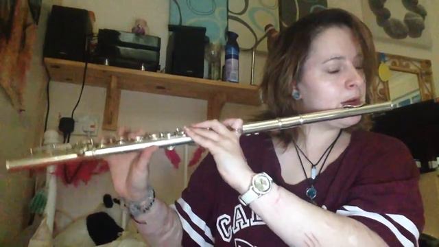 Emerald Eyes- Blacklisted Me- Flute Cover смотреть онлайн