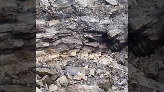 15 августа 2022 г. смотреть онлайн