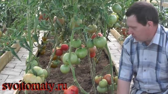 Юпитер смотреть онлайн