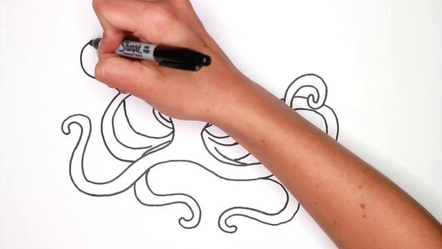 How To Draw An Octopus | the line market смотреть онлайн
