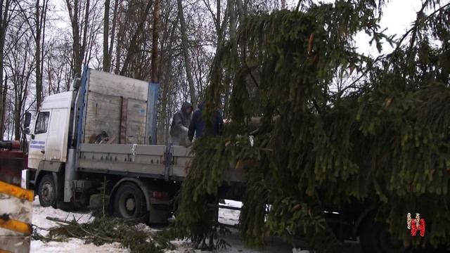 Главный символ праздника. В городе устанавливают новогодние ели. смотреть онлайн