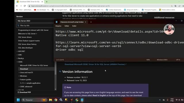 Aula 0002 - Como configurar uma conexão ODBC recomendada para usar o DBAccess do Protheus смотреть онлайн