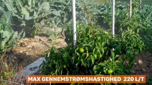 WORX WG633E BÆRBAR TRYKRENSER  20V  DK