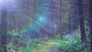 Расслабляющие звуки дождя в лесу 🌿 Расслабляющий шум дождя в лесу