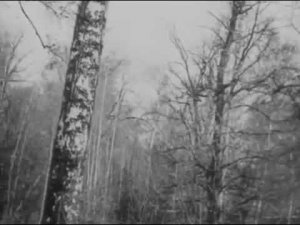 Обратной дороги нет -- Ты сам себе выбрал нелёгкую долю