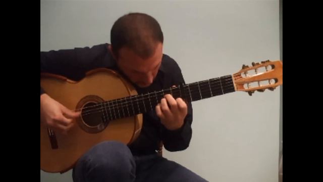 PIRATES OF THE CARIBBEAN - Flavio Sala, guitar смотреть онлайн