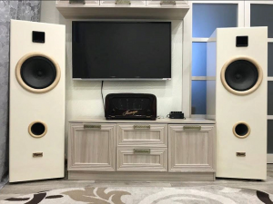 Напольная АС на динамиках Beag hx 301-8 и ht101-16