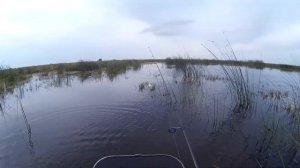 Рыбалка. Ловля щуки на лягушку и Хорватское яйцо