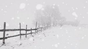 Расслабляющая СИЛЬНАЯ МЕТЕЛЬ и ПУРГА. Успокаивающий ШУМ ВЕТРА, ЗВУКИ ВЬЮГИ-10 часов для отдыха и сн