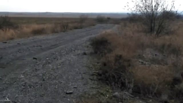 Багги барракуда смотреть онлайн
