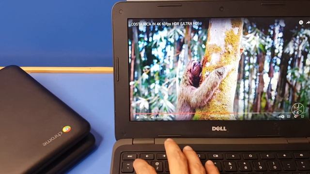 Dell Chromebook Laptop 3180 Chromebook Specs | danka.pk смотреть онлайн