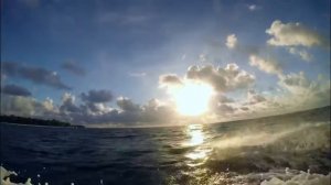 Звери   Ты так прекрасна