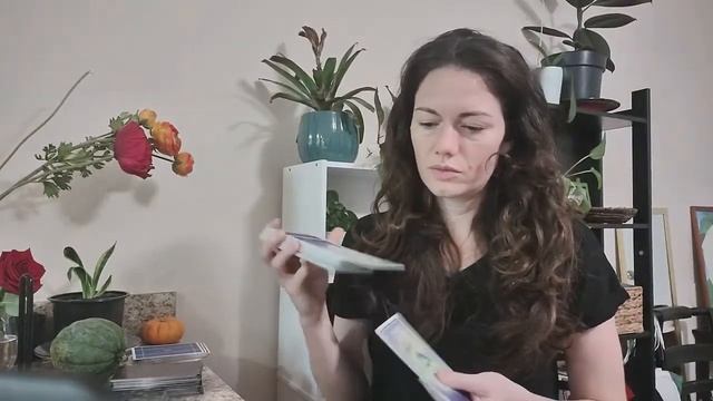 11/1 Live Reading смотреть онлайн