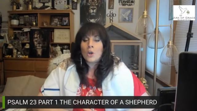 READ THE BIBLE WITH Amanda Grace PSALM 23 PART 1, THE CHARACTER OF A TRUE SHEPHERD THEN AND NO смотреть онлайн