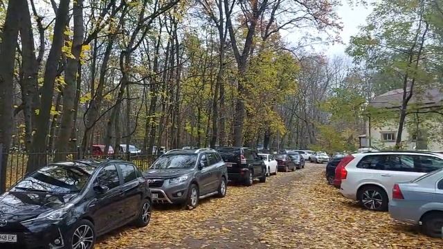 Праздник тихой радости смотреть онлайн