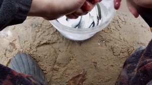 ГИГАНТСКАЯ УКЛЕЙКА КЛЮЁТ КАК ИЗ ПУЛЕМЁТА ? СЕКРЕТ ПРИКОРМКИ НА УКЛЕЙКУ ? ЖАРЕНАЯ УКЛЕЙКА НА БЕРЕГУ