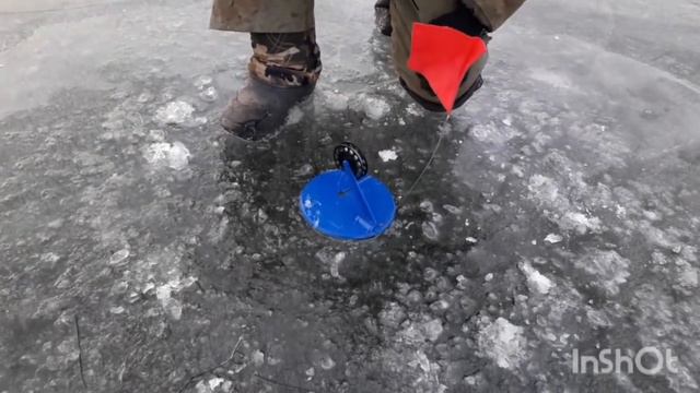 Щука на жерлицы!!! Первый лёд 2020-21! оз.Иван!!! смотреть онлайн