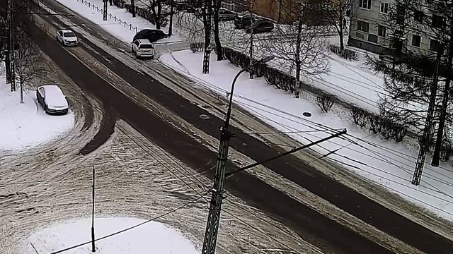 Виновато дерево смотреть онлайн