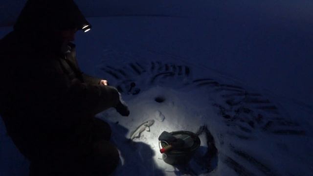 Ночная рыбалка на леща. Но поймал не леща! смотреть онлайн