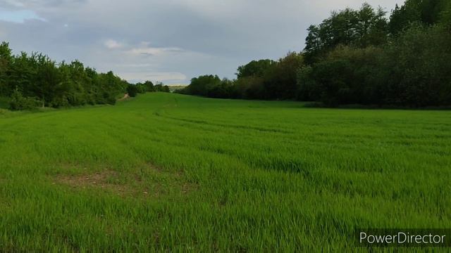Фермы в Германии, в маленьком селе. Красота и порядок! Вы не поверите!!!!! смотреть онлайн