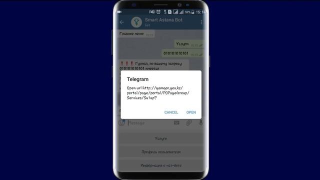 Как легко проверить наличие штрафов в системе 