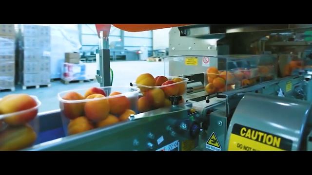 Экспортный Потенциал Таджикистана смотреть онлайн