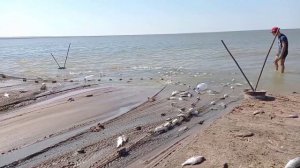 Рыбалка неводом 1200 кг.часть 2