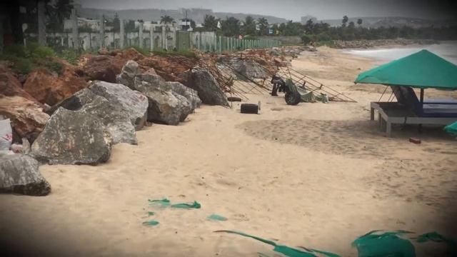 Как спит лошадь смотреть онлайн