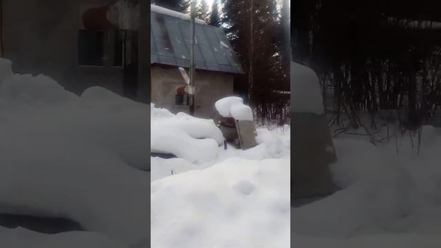 СНТСН Агро,поселок Родионово,топится печь смотреть онлайн