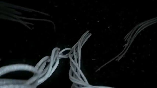 Are you dralonized? (Dralon GmbH) смотреть онлайн